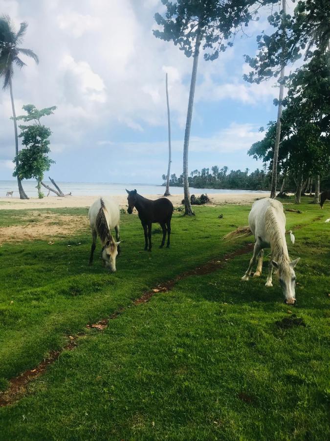 Oasis En La Naturaleza Rancho Alto Bonito Las Galeras Exterior foto